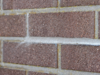 Drystone Cement XT2A6713